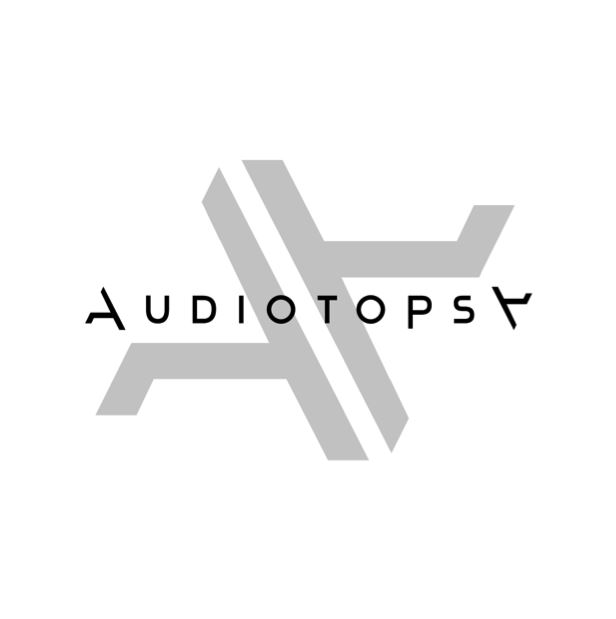audiotopsylogo